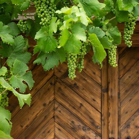 Vinonima Vendeghaz Villa Hegymagas Ngoại thất bức ảnh