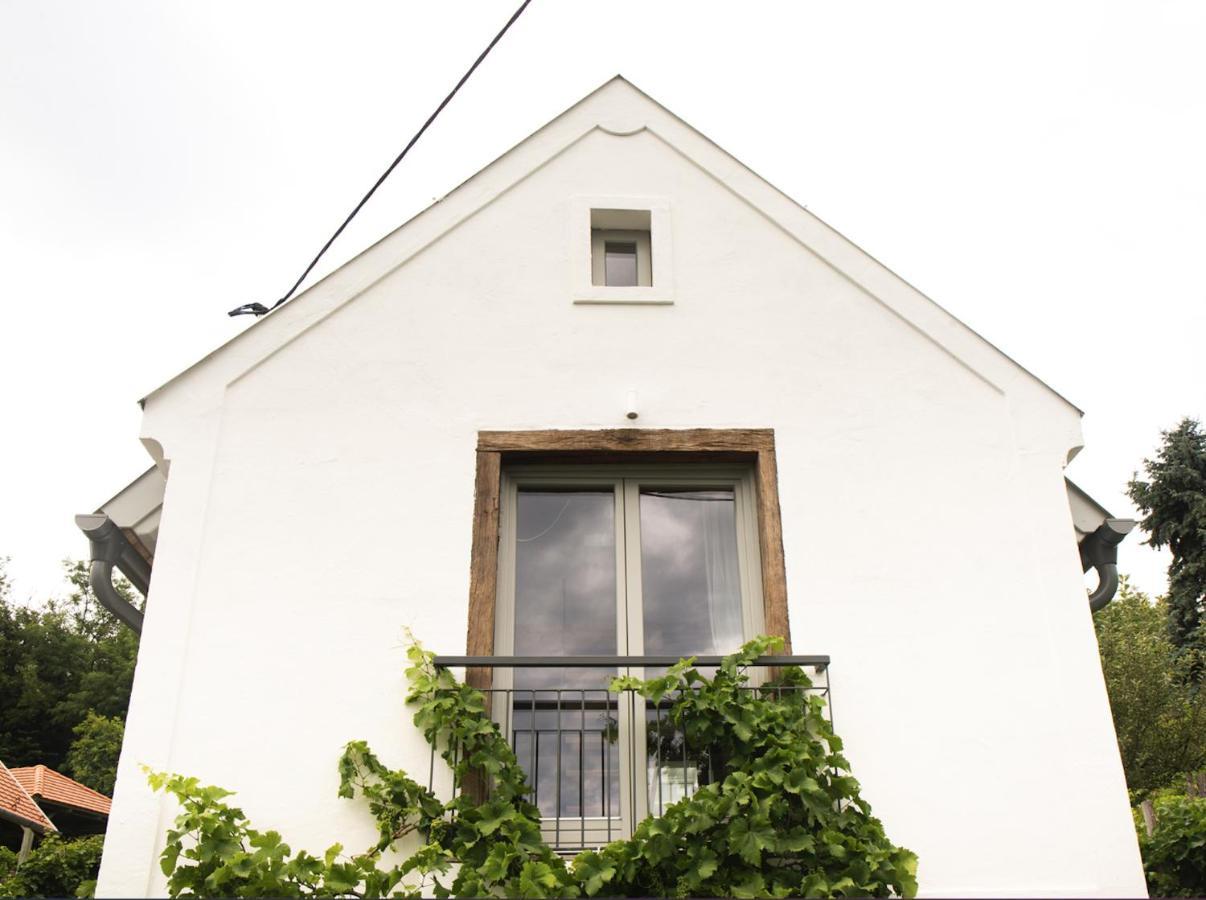 Vinonima Vendeghaz Villa Hegymagas Ngoại thất bức ảnh